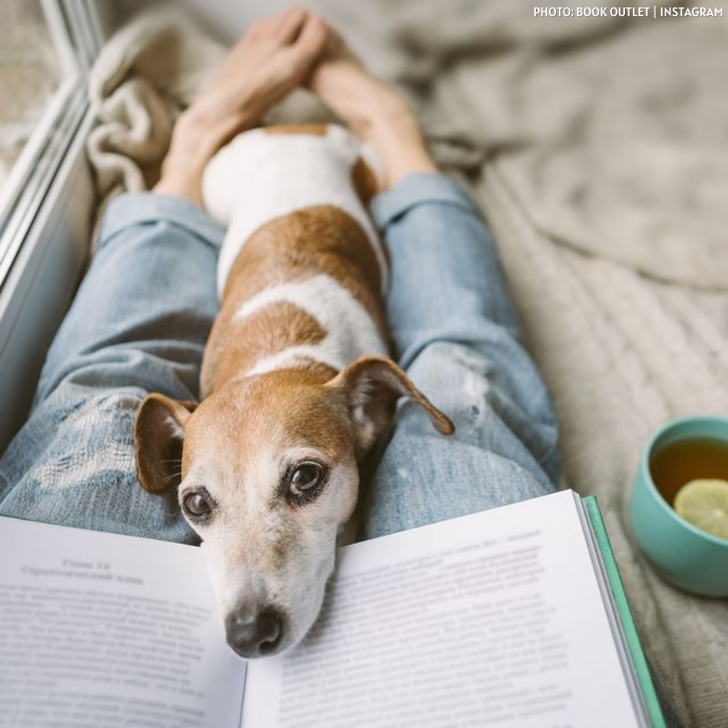 Top 5 Online Bookstores: Book Outlet