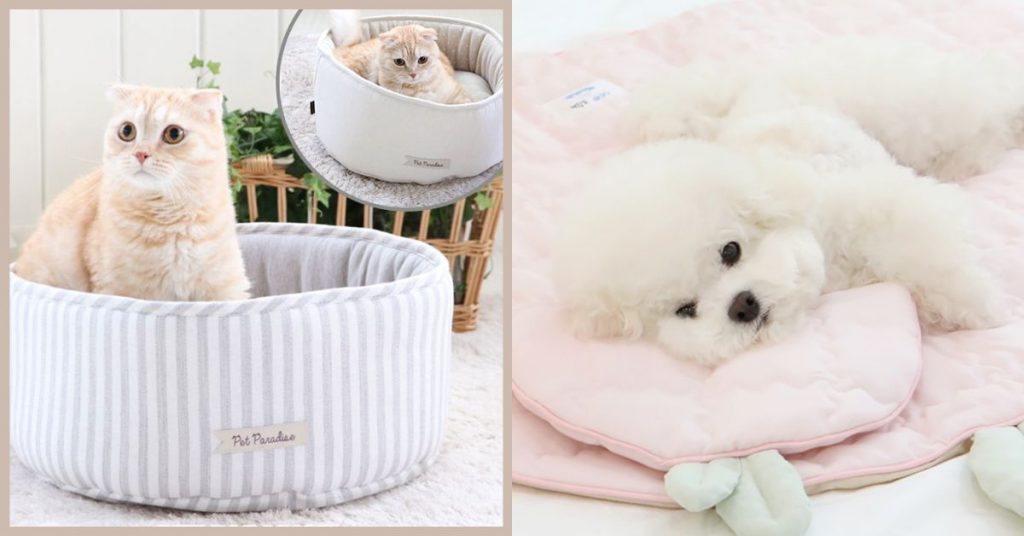 7 Best Online Shops for Pet Supplies Abroad! Shop Pet Clothing, Accessories & Ship to the Philippines!