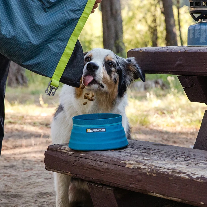 Bivy™ Collapsible Dog Bowl
